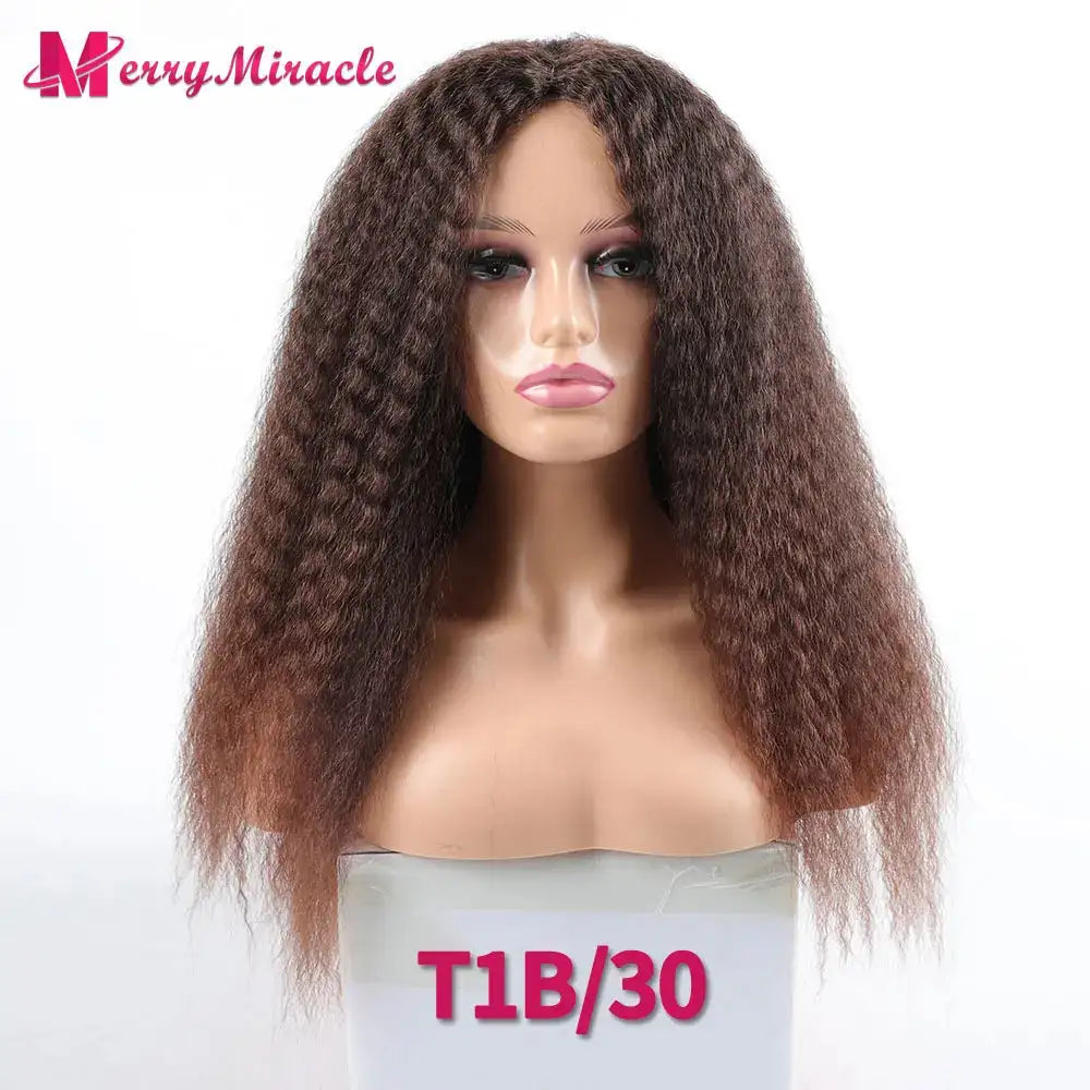 Long Afro Kinky Curly Hair Wigs