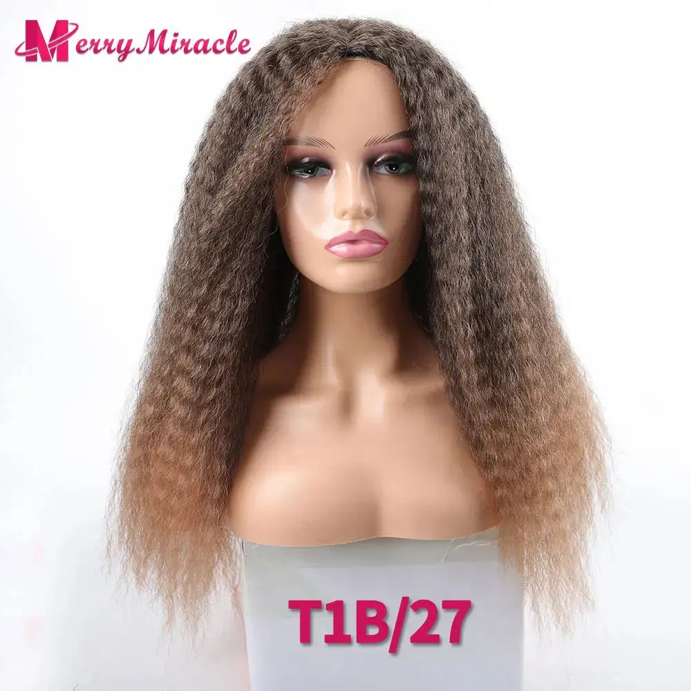 Long Afro Kinky Curly Hair Wigs