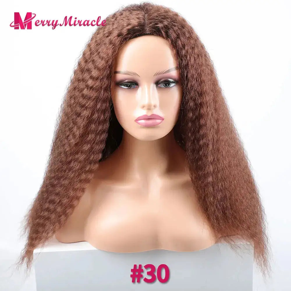 Long Afro Kinky Curly Hair Wigs