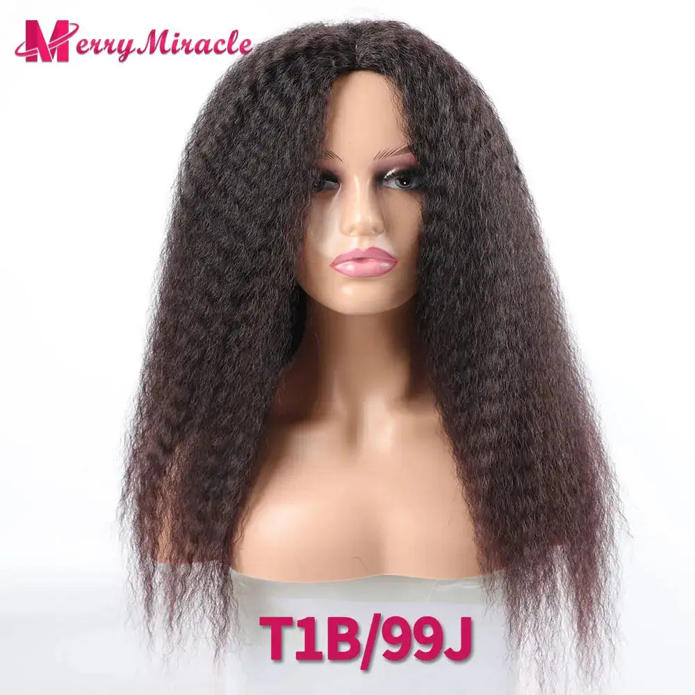 Long Afro Kinky Curly Hair Wigs