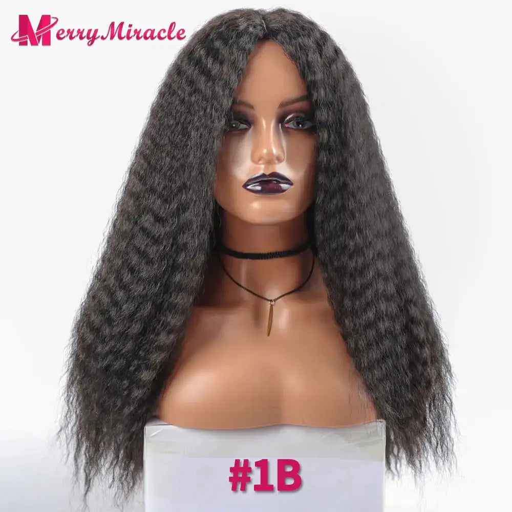 Long Afro Kinky Curly Hair Wigs