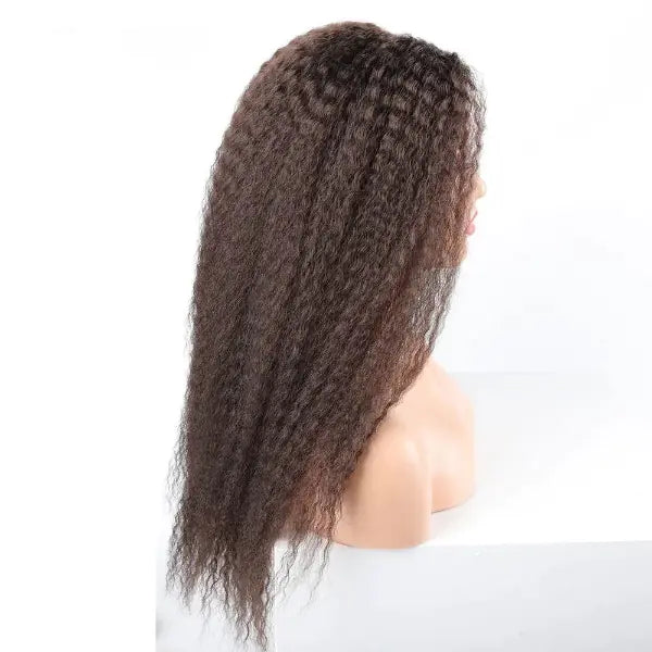 Long Afro Kinky Curly Hair Wigs