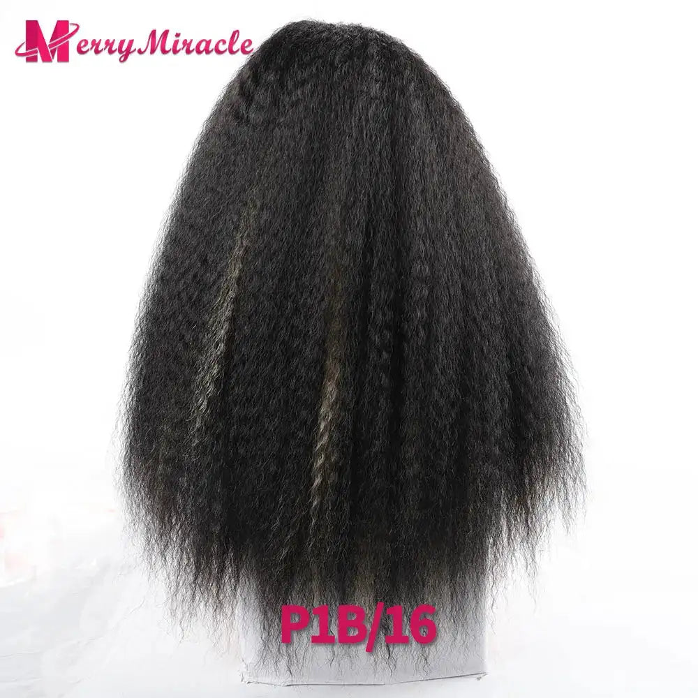 Long Afro Kinky Curly Hair Wigs