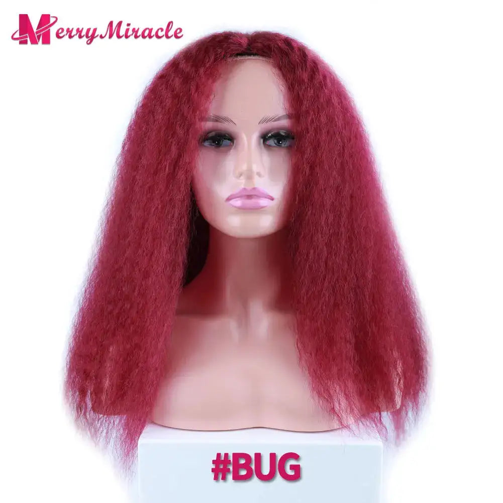 Long Afro Kinky Curly Hair Wigs