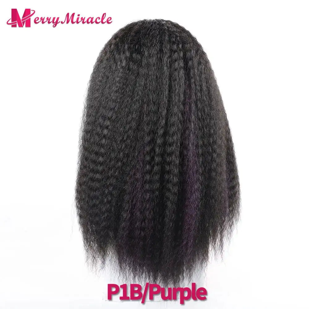 Long Afro Kinky Curly Hair Wigs