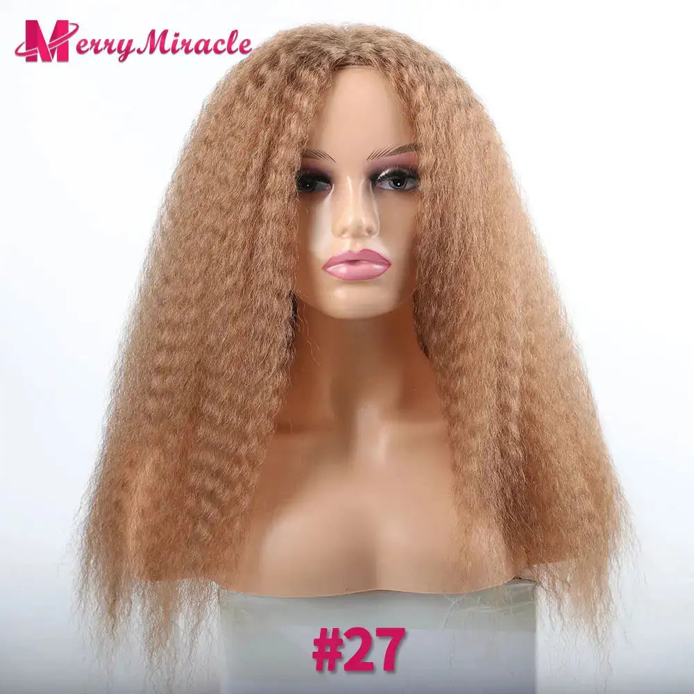 Long Afro Kinky Curly Hair Wigs
