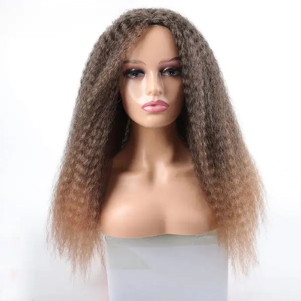 Long Afro Kinky Curly Hair Wigs