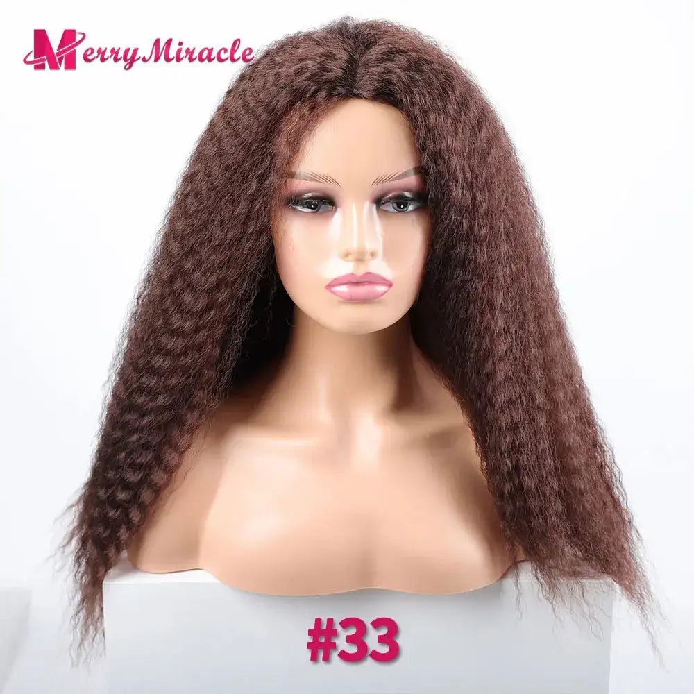 Long Afro Kinky Curly Hair Wigs