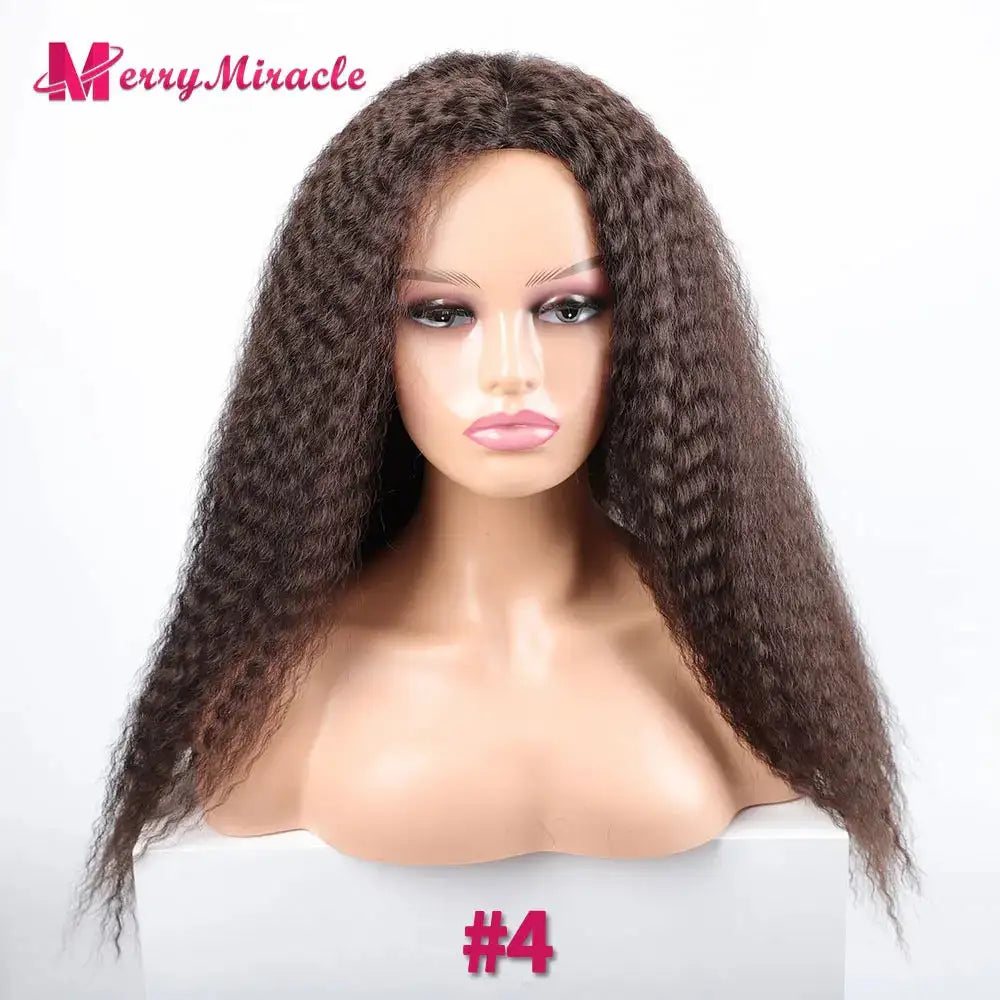 Long Afro Kinky Curly Hair Wigs