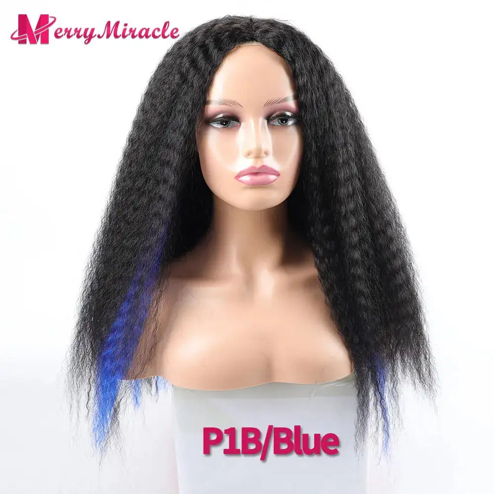 Long Afro Kinky Curly Hair Wigs