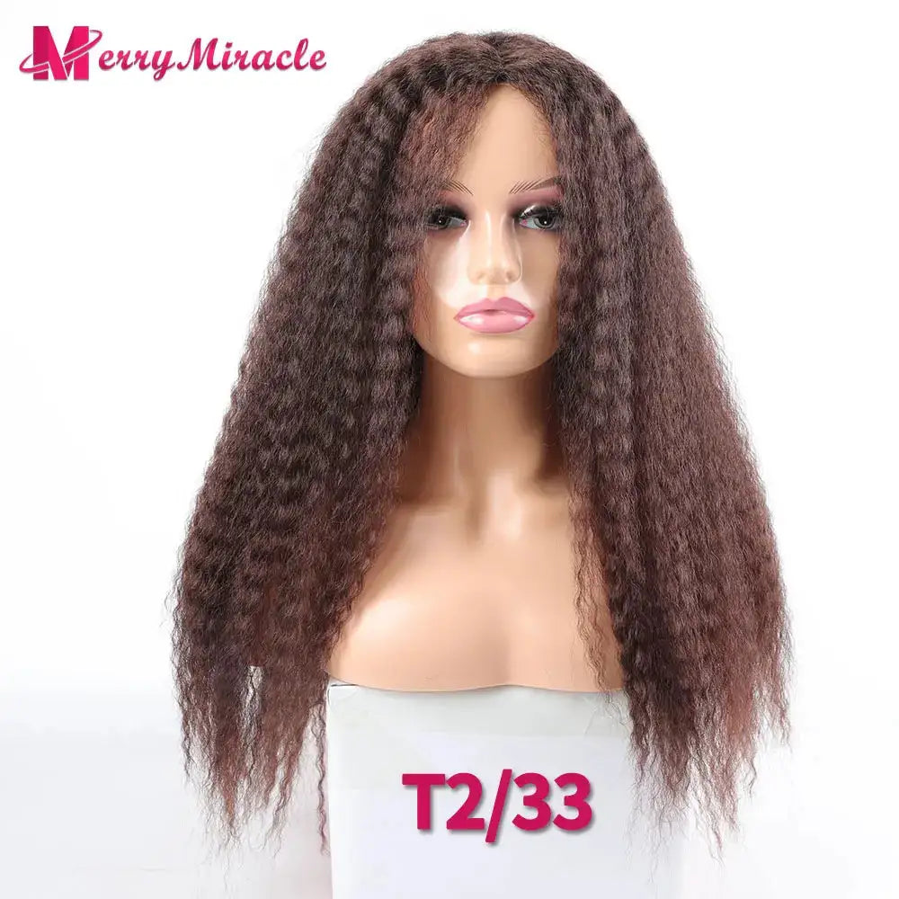 Long Afro Kinky Curly Hair Wigs